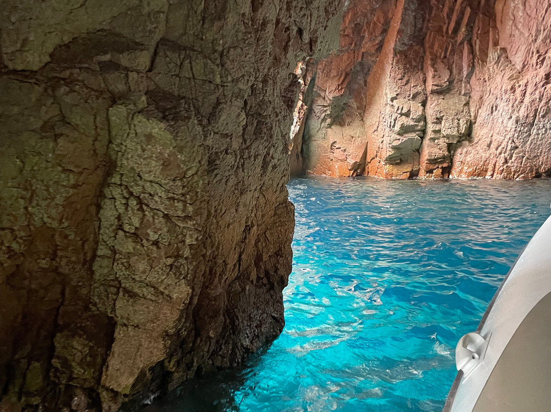 Le Goëland-Porto必去景点