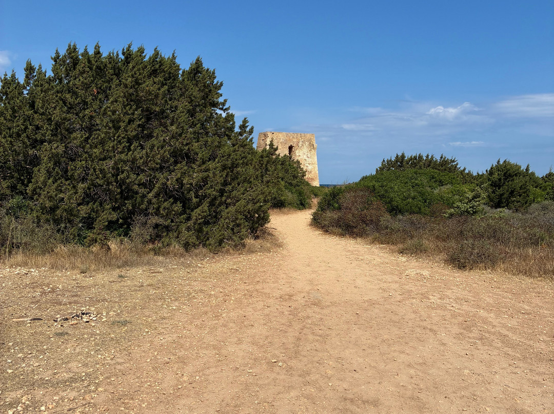 Spiaggia di Torre Pozzelle-奥斯图尼必去景点