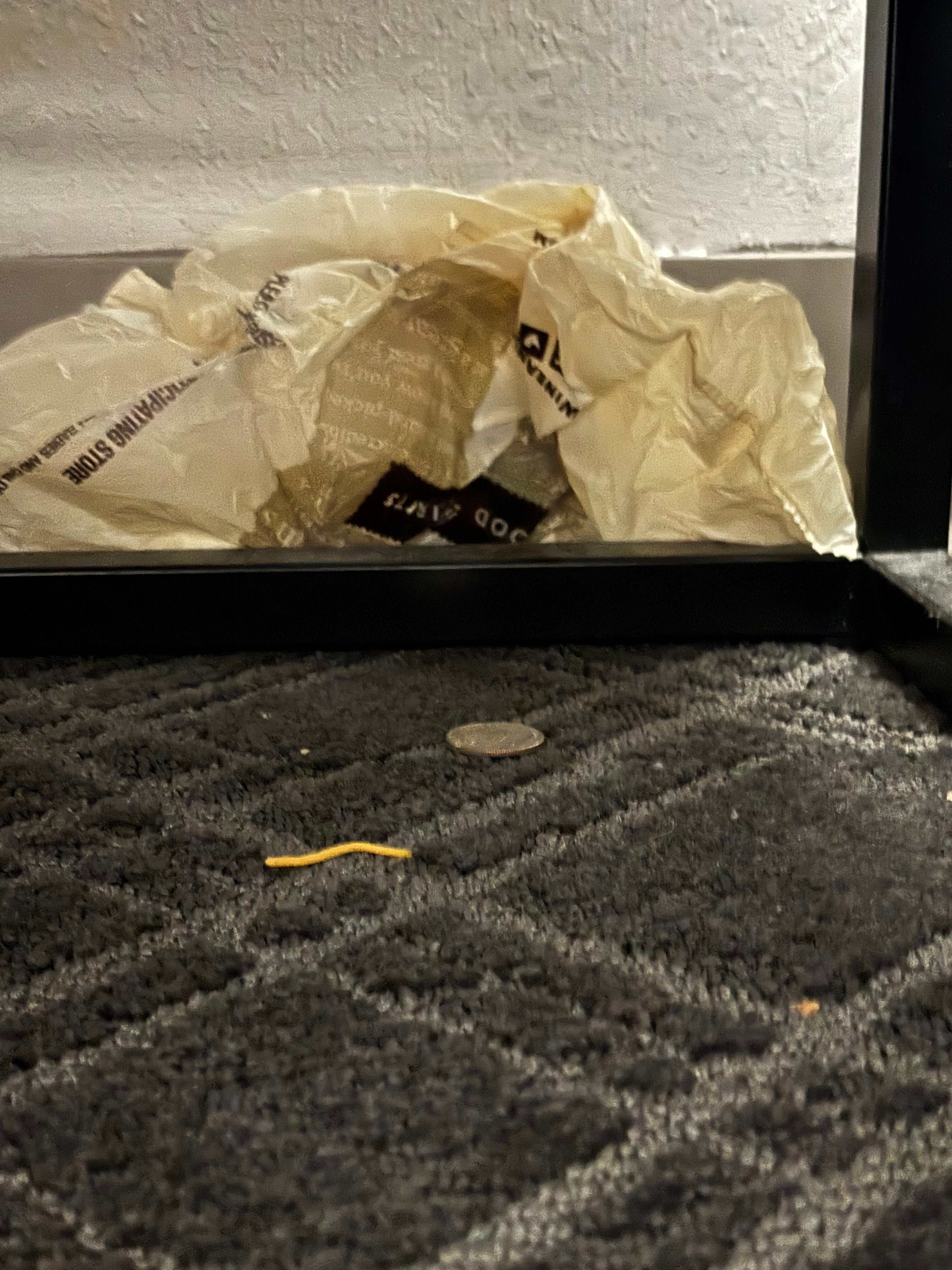 Comfort Inn Carrier Circle-客卧