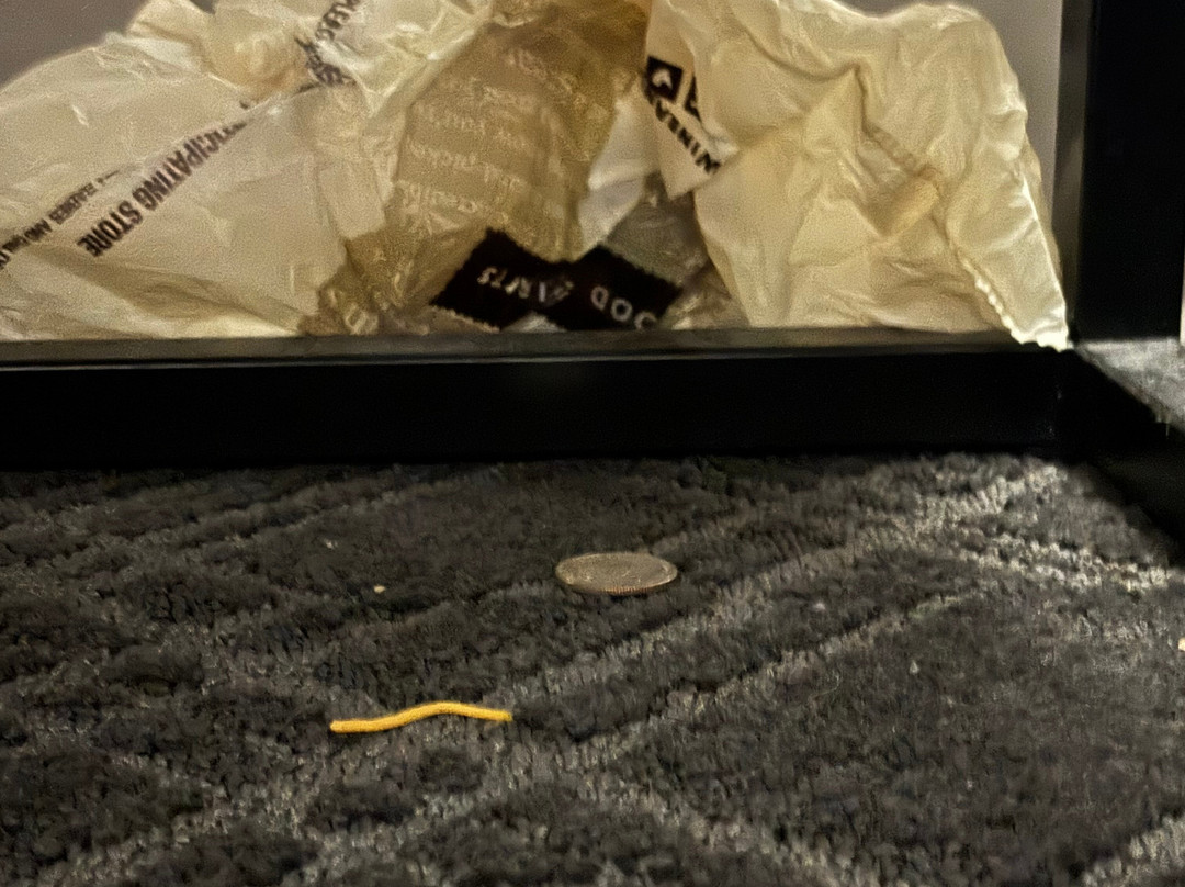 Comfort Inn Carrier Circle主图