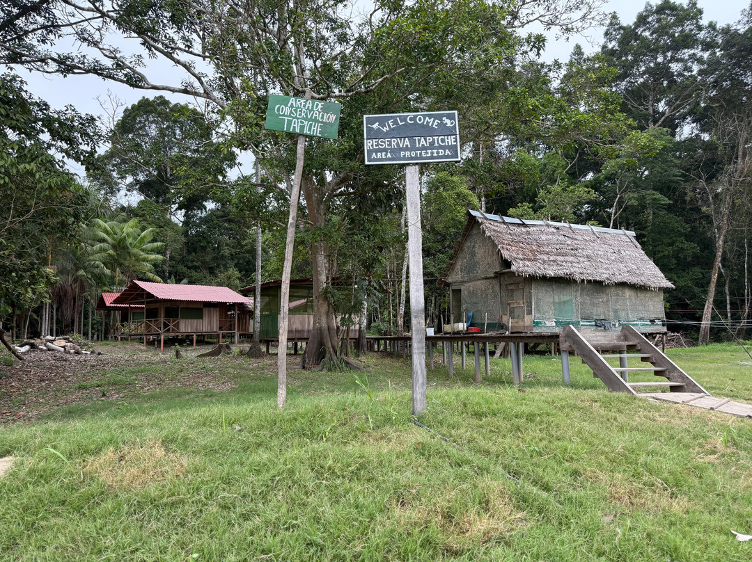 Tapiche Jungle Reserve-伊基托斯必去景点
