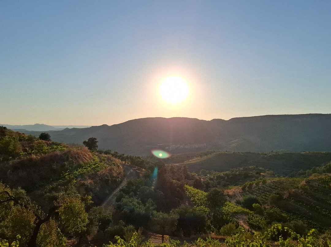 Celler Devinssi-Gratallops必去景点