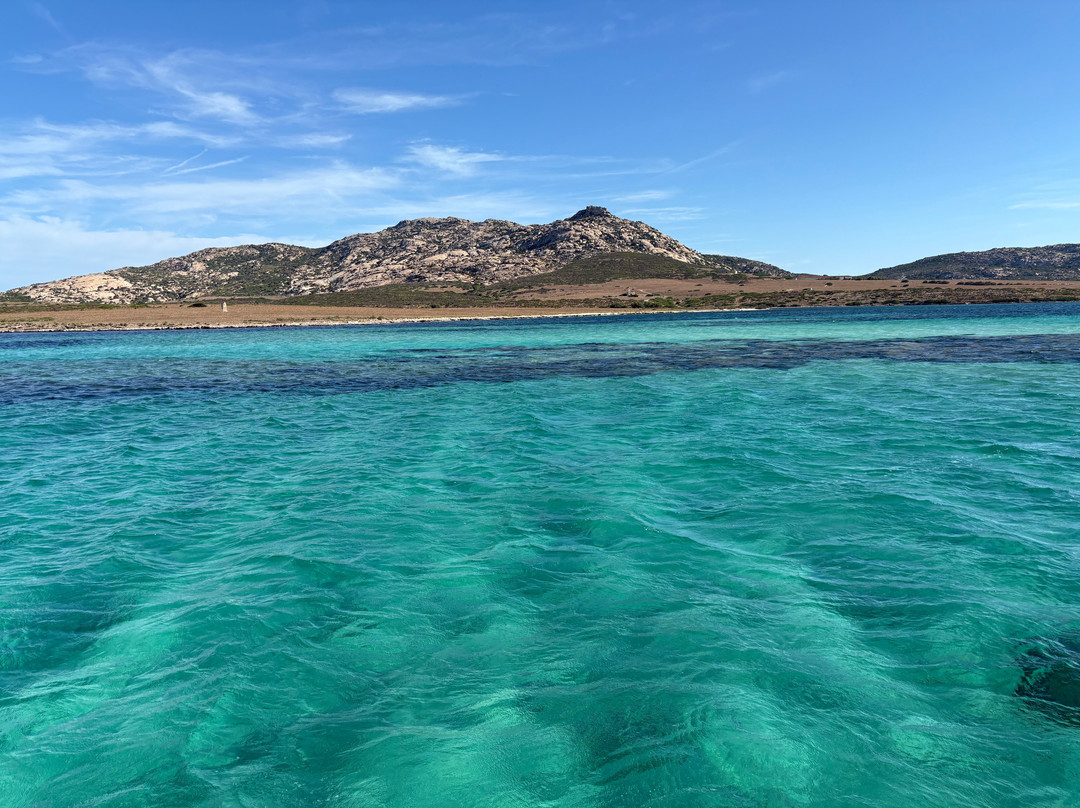 Escursioni Alghero Asinara-阿尔盖罗必去景点