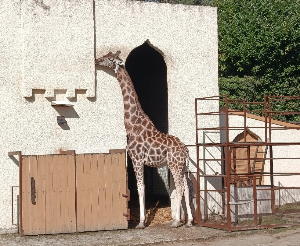 Les Terres De Nataé-Pont-Scorff必去景点
