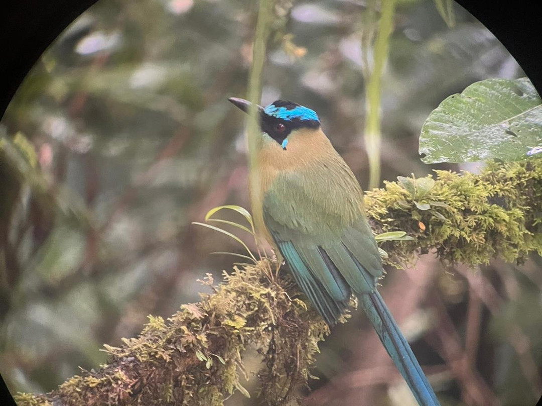 Peru Amazon Expeditions-Manu必去景点