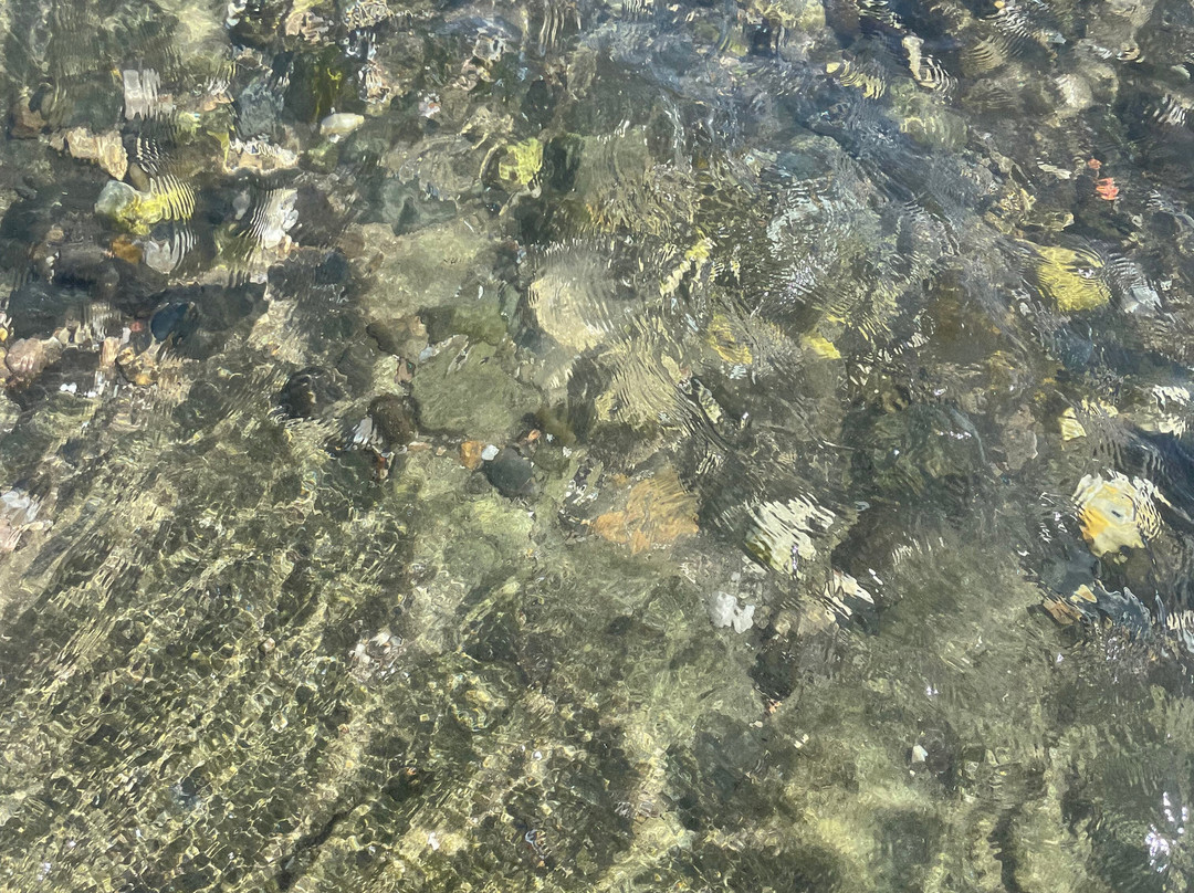 Cabopino Beach-马贝拉必去景点