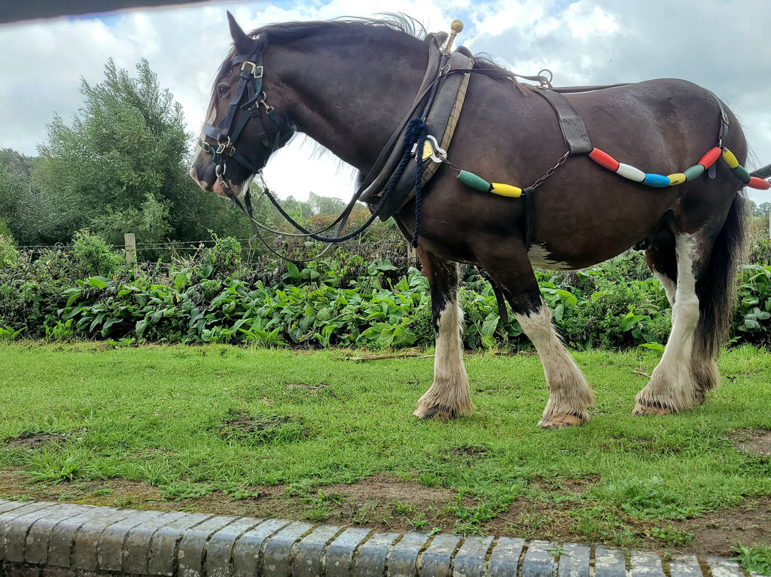 Kennet Horse Boat Company-Kintbury必去景点