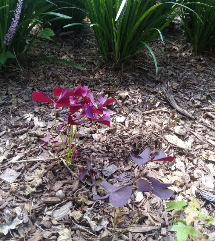 I-85 North NC Welcome Center-Norlina必去景点