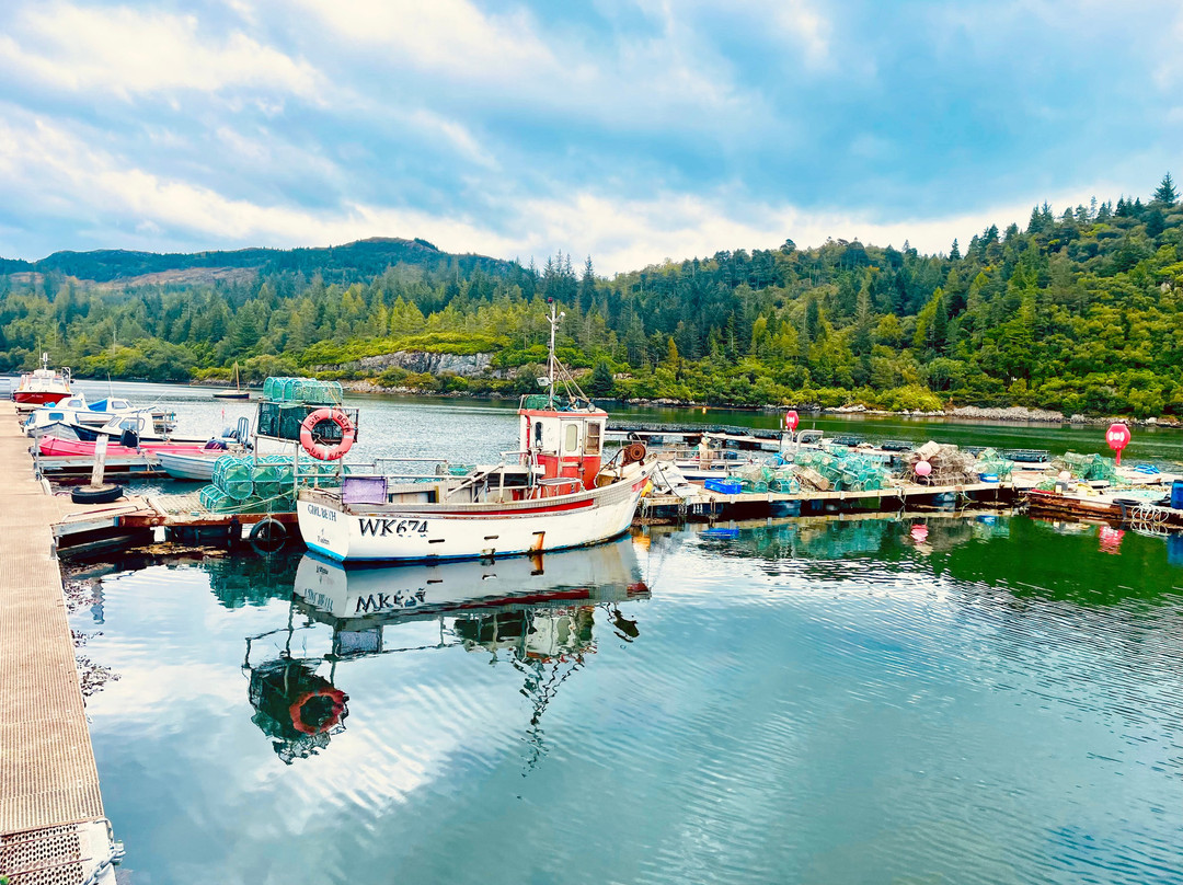 Plockton Harbour-Plockton必去景点