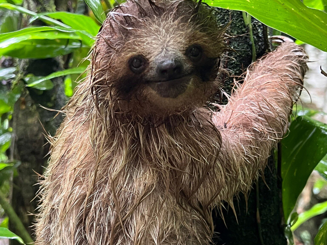 Royal Service Tours-利比里亚必去景点