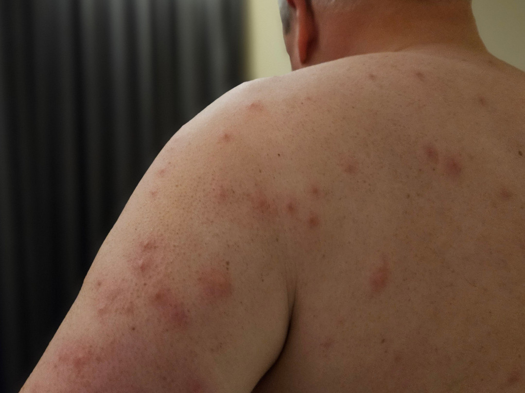 根特展会假日酒店主图