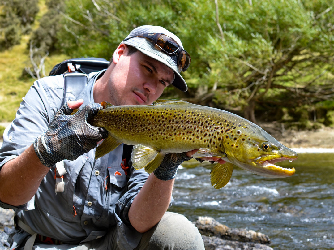 Traveltruly Fly Fishing-蒂阿瑙必去景点