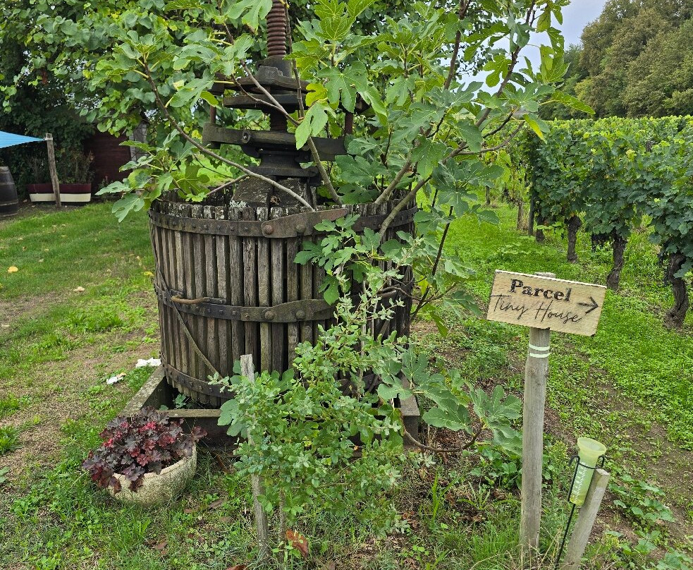 Château Champion-圣埃美隆必去景点