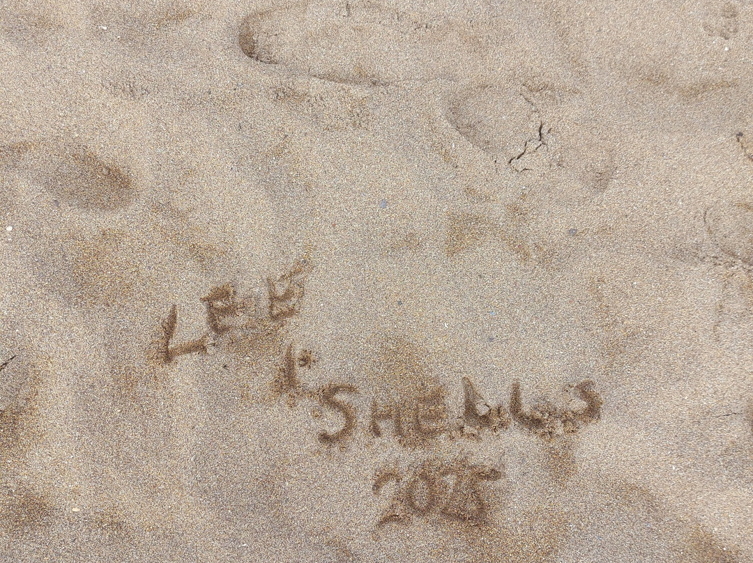 Coldingham Sands-Coldingham必去景点