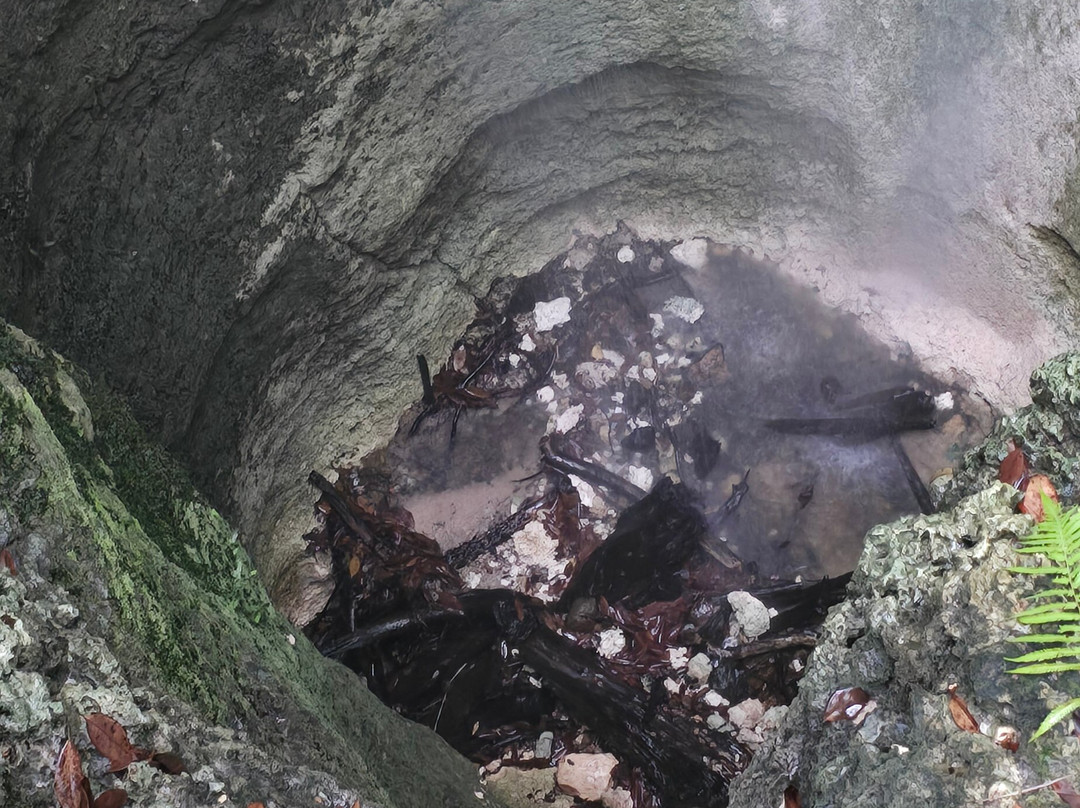 Falling Waters State Park-Chipley必去景点