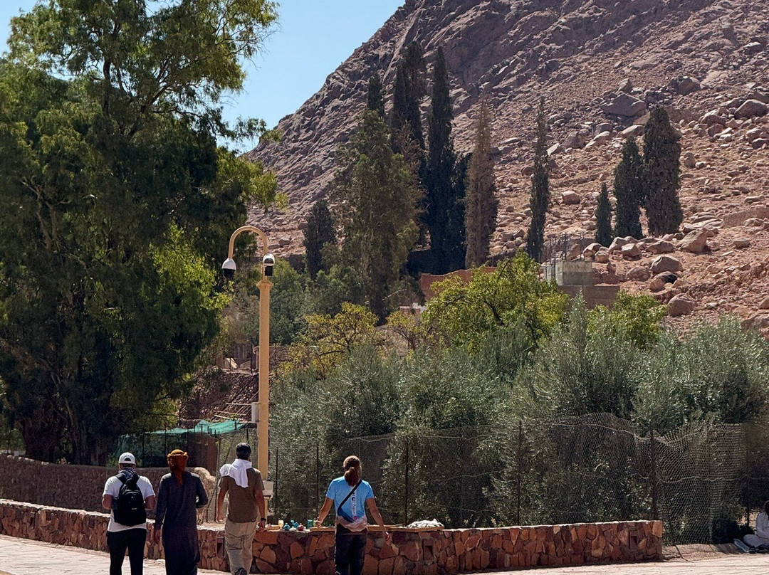 Sinai Hikes-圣卡特琳娜地区必去景点