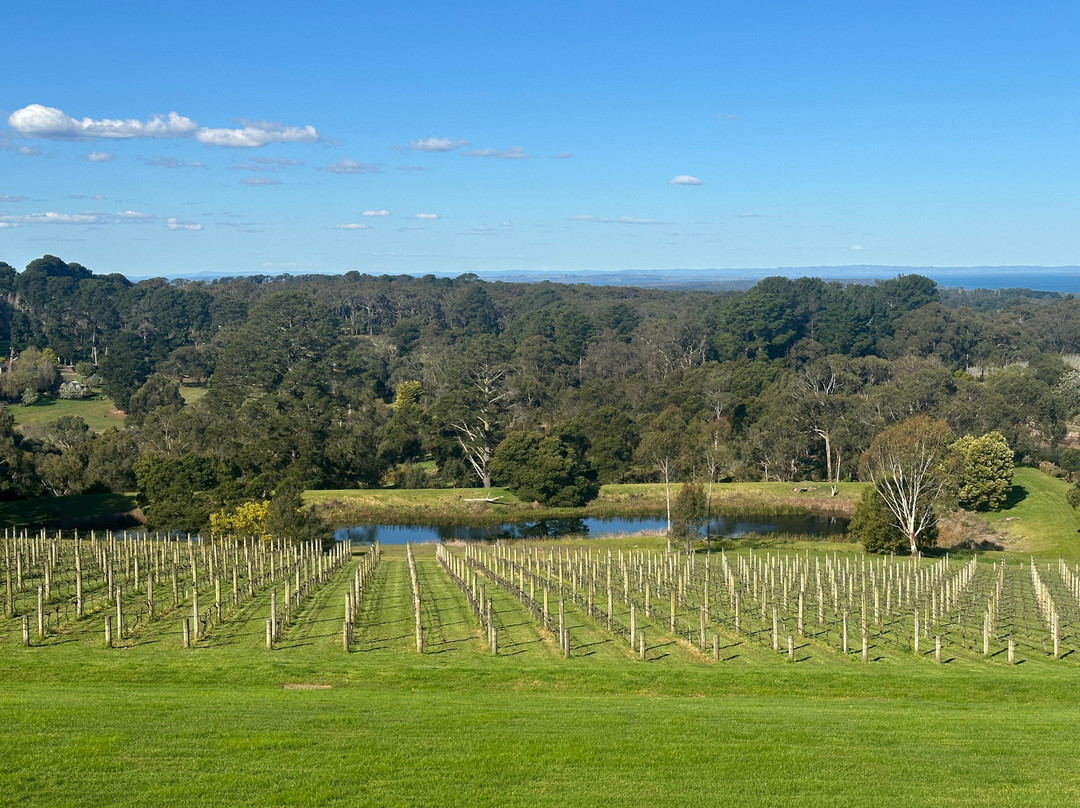 Amour of the Grape Tours-Rosebud必去景点