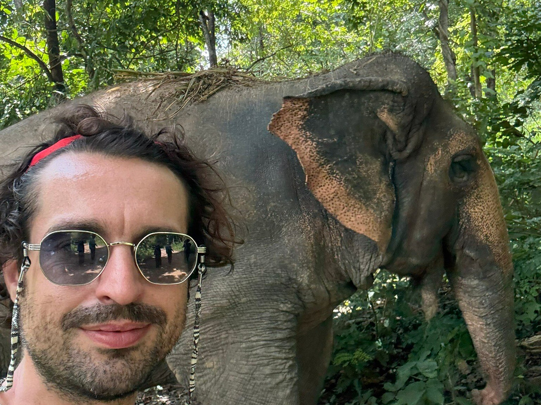 Maerim Elephant Sanctuary-夜林必去景点
