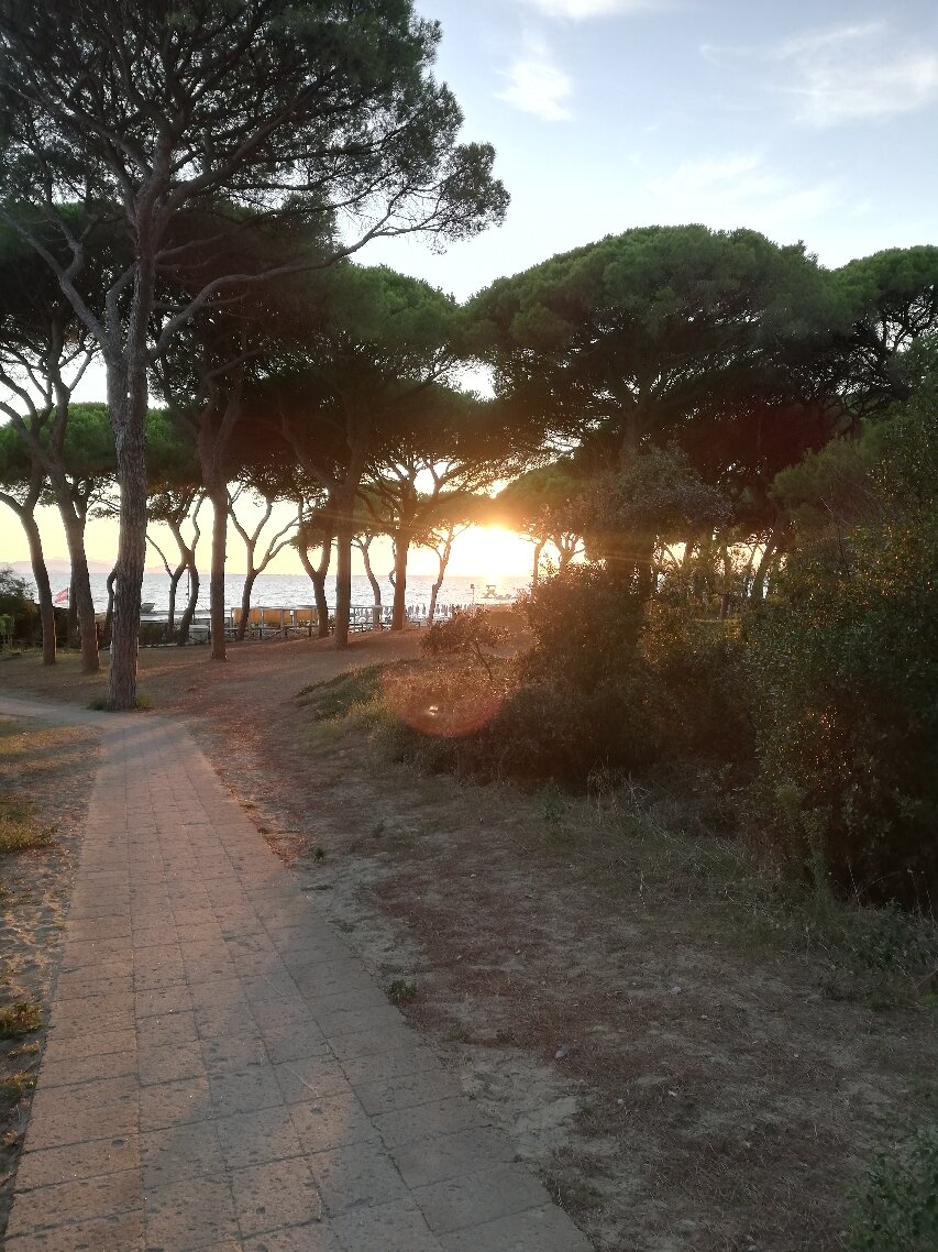 拉毕内塔酒店-官方