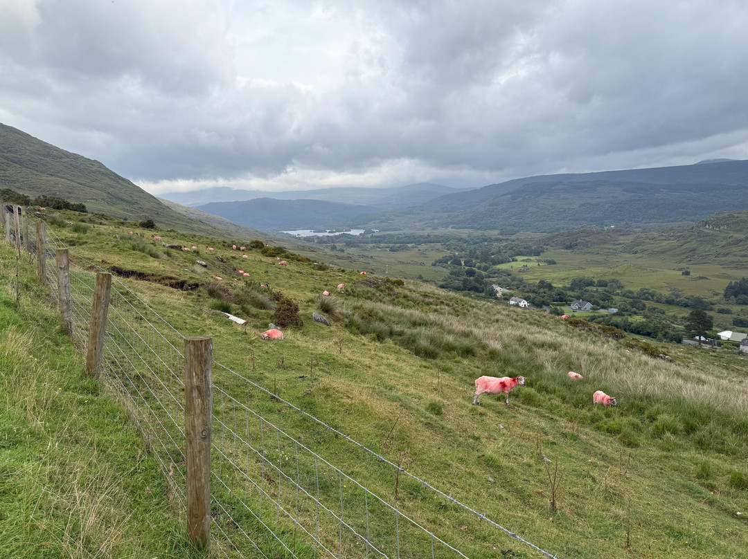 Gap of Dunloe Tours-基拉尼必去景点