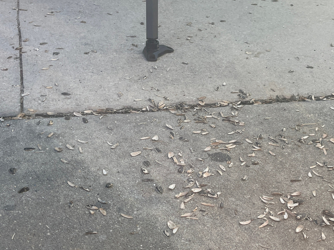 Space Coast Stadium-墨尔本必去景点