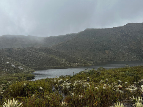 Road Trip Colombia-波哥大必去景点