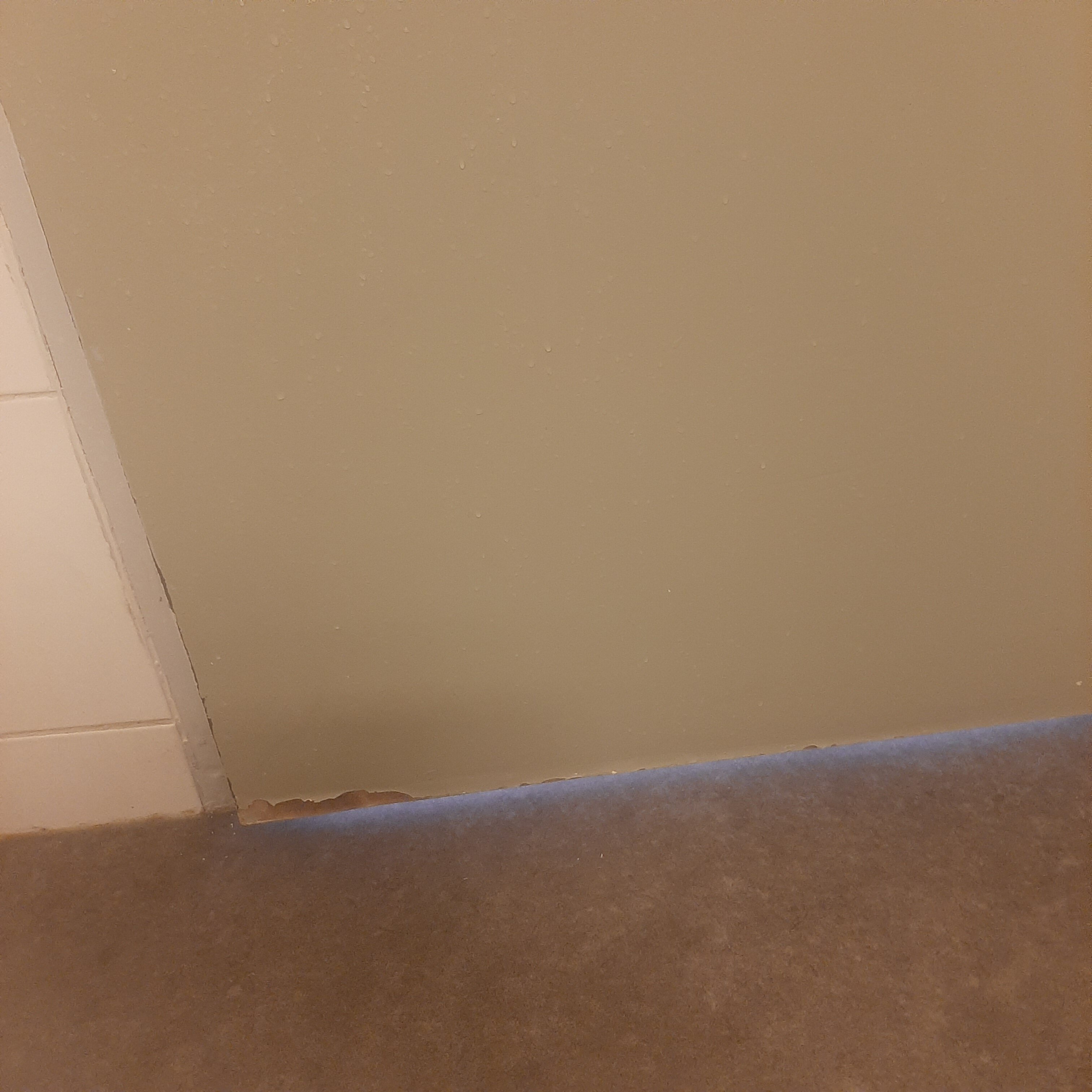 宜必思快捷土伦中心酒店-官方