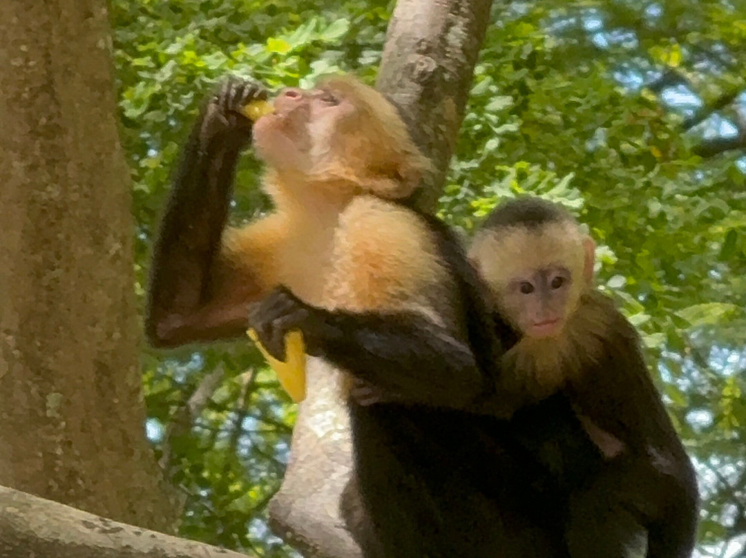 Tide Water Adventure-Playas del Coco必去景点