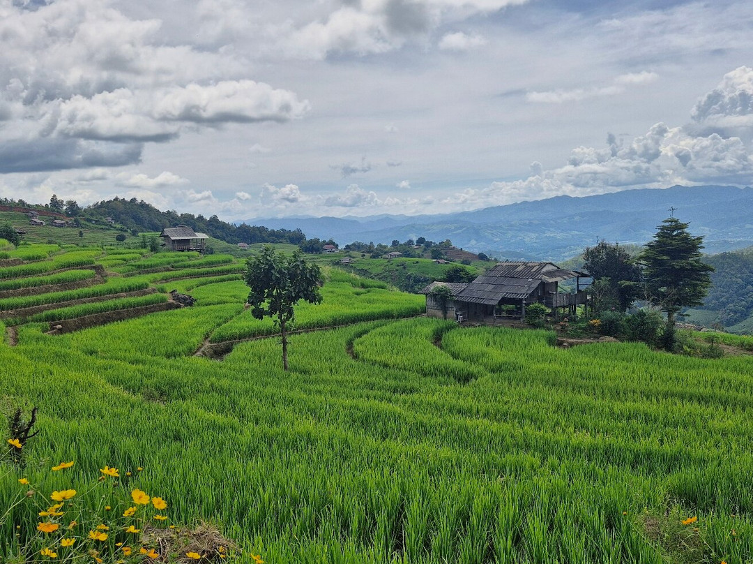 Thai Eco Trek Adventure-清迈必去景点