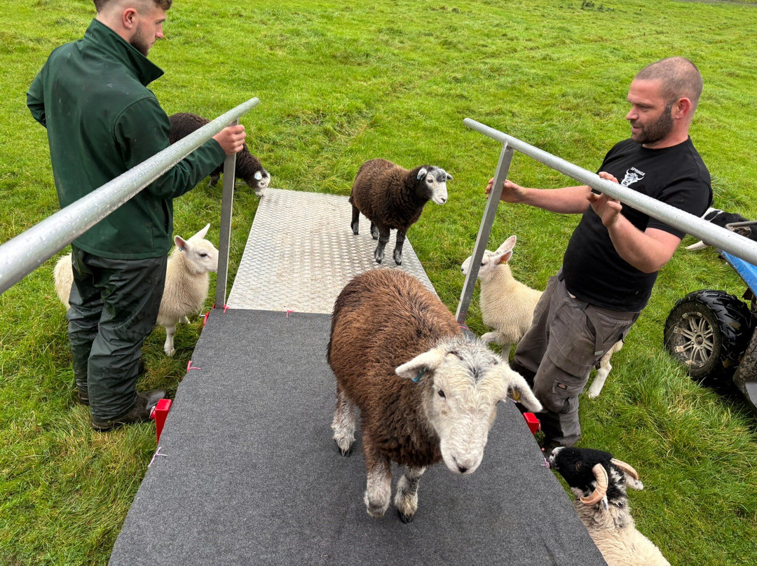 Springs Farm Guesthouse主图