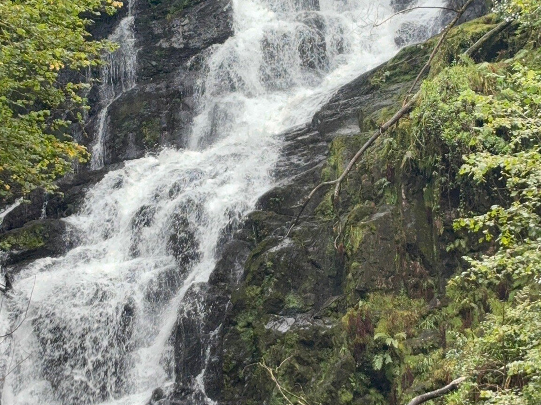 Torc Waterfall-基拉尼必去景点