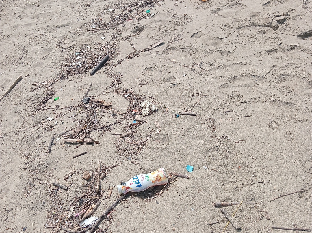 Playa San Pedrito-曼萨尼约必去景点