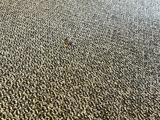 Best Western Plus The Normandy Inn & Suites主图