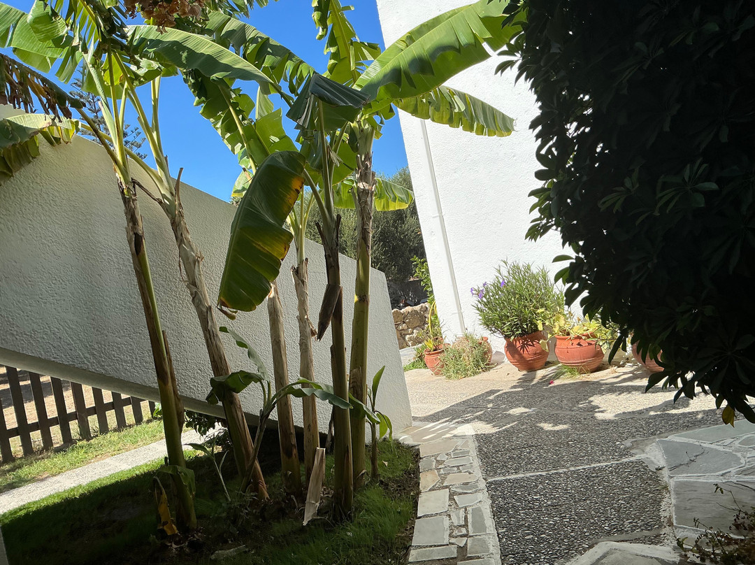 Antimachia酒店住宿-Ilios and Irene