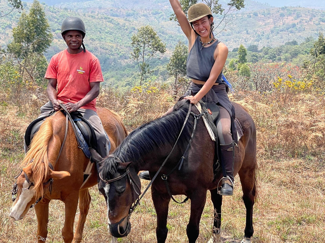 Plateau Stables-桑巴必去景点