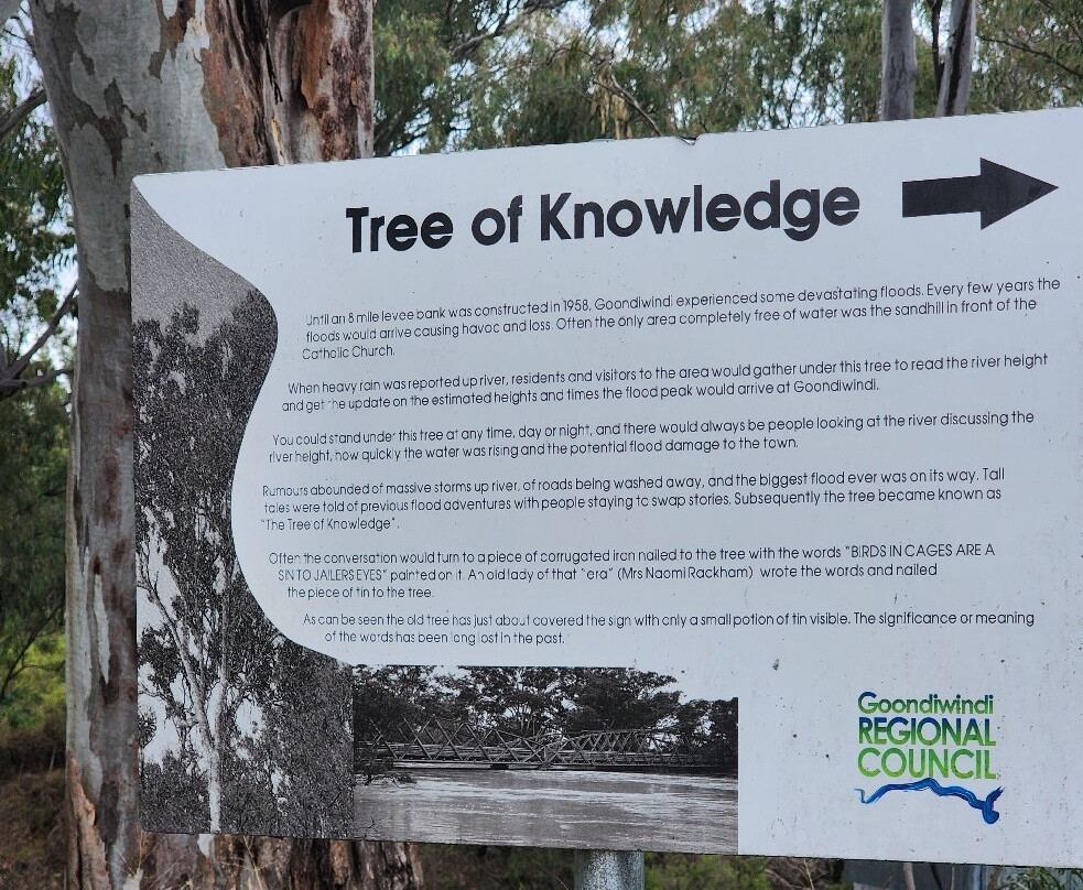 Macintyre Riverwalk-Goondiwindi必去景点