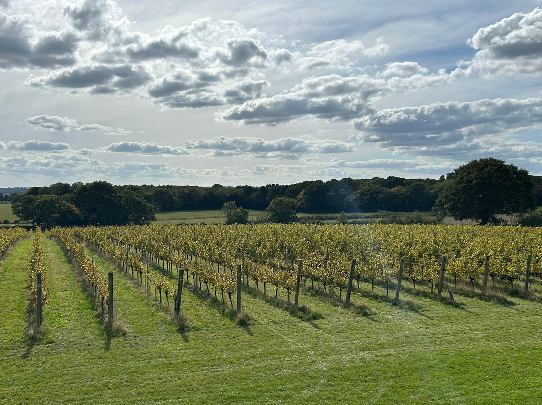 Woodchurch Vineyard-Woodchurch必去景点