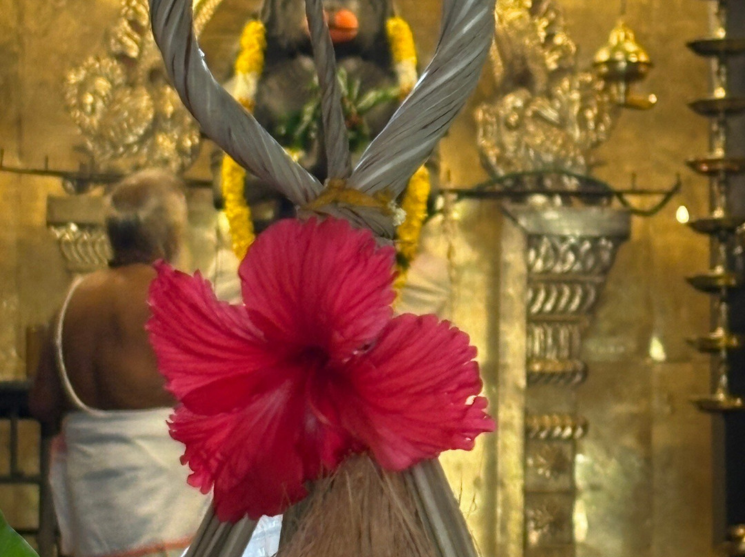 Maruthanamadam Anjaneyar Temple-贾夫纳必去景点