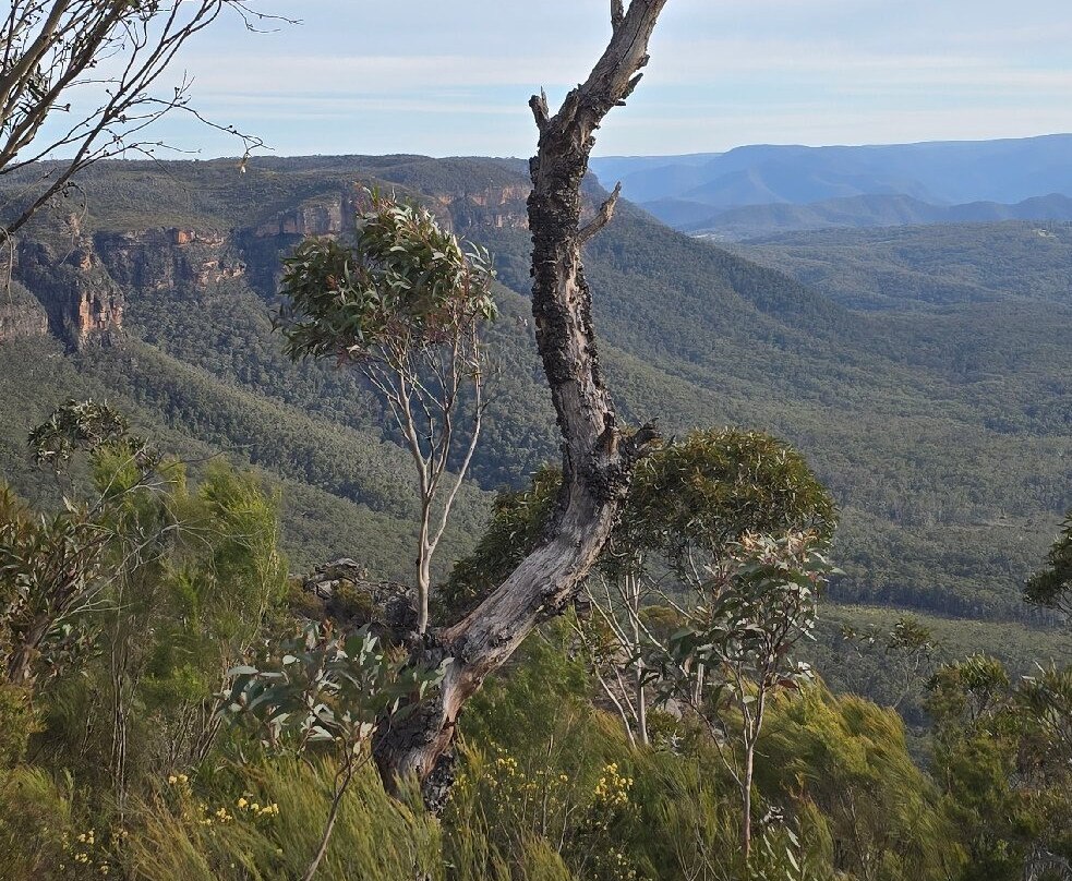 Cahill's Lookout-卡通巴必去景点