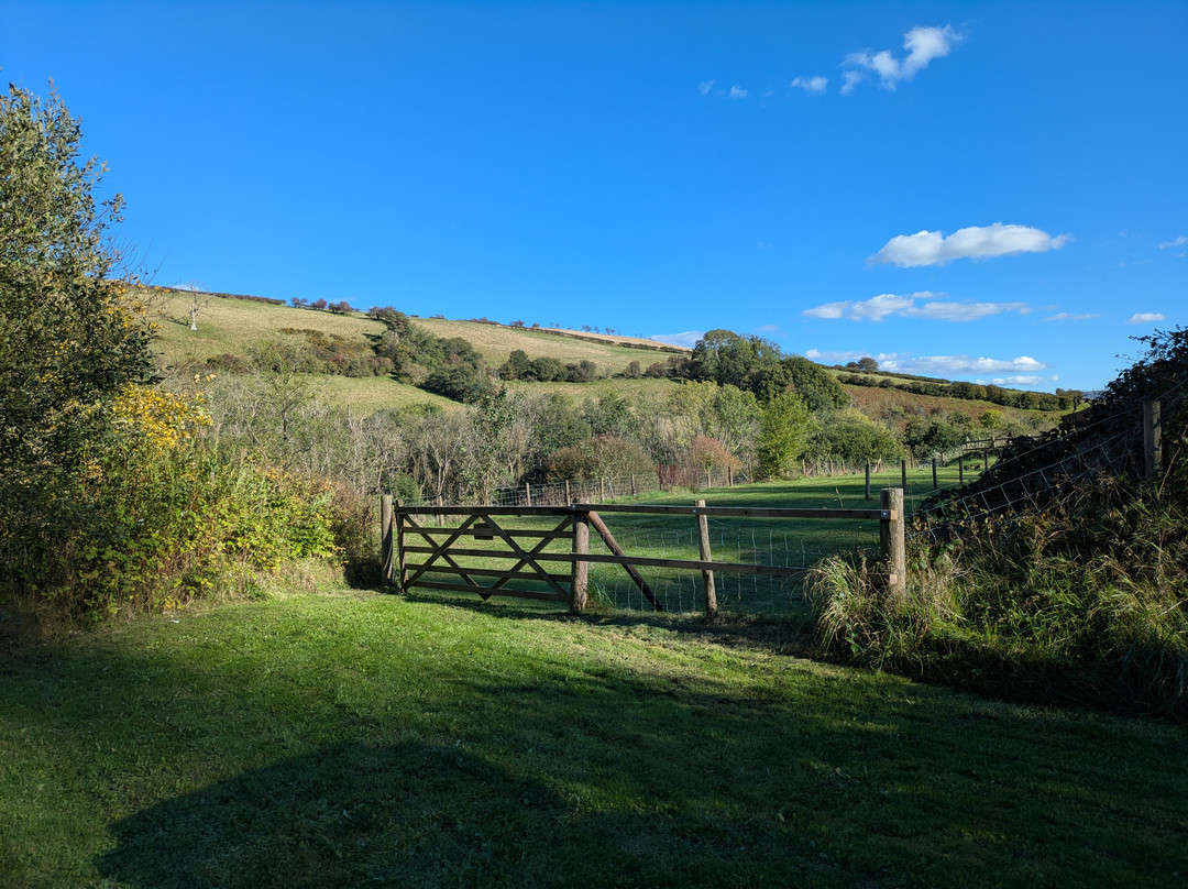 Gilfach Farm Holidays