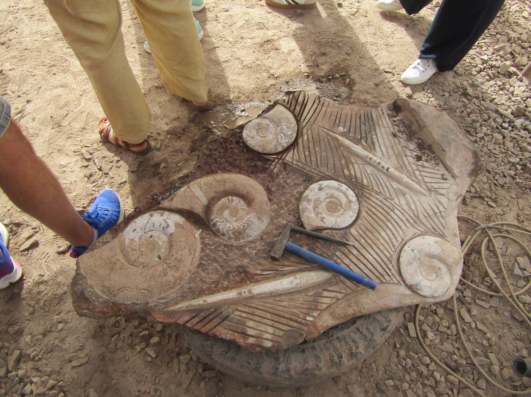 Macro Fossiles Kasbah-Erfoud必去景点