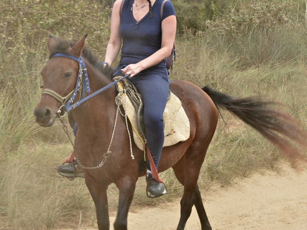 Zephyros Travel-库萨达斯必去景点