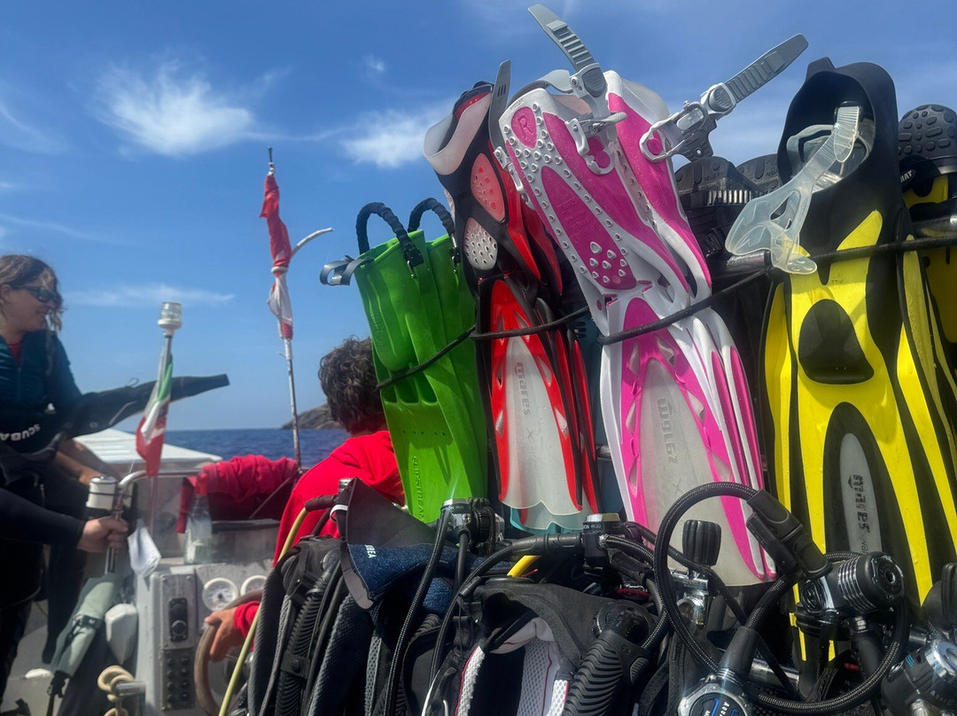 Orca Diving Ustica-Ustica必去景点