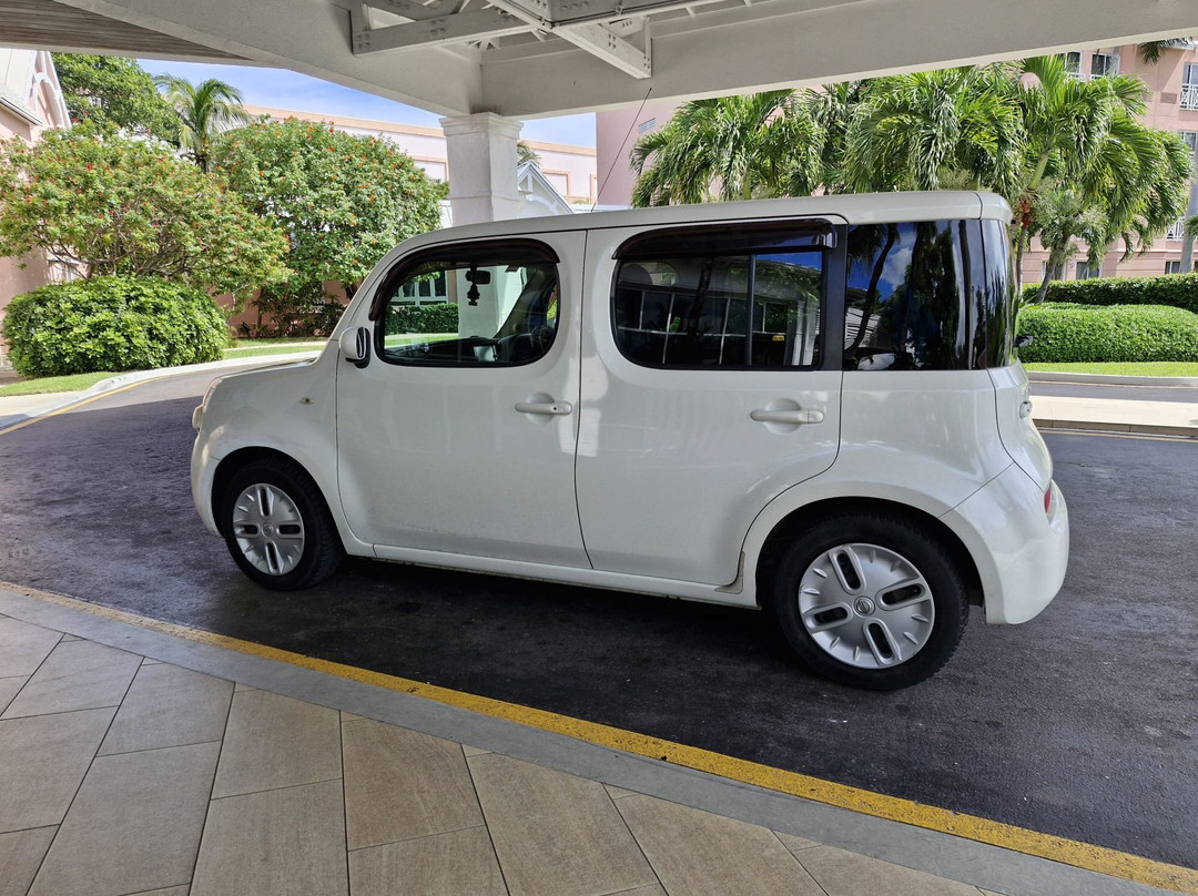 DeeDee Car Rental and Taxi Service-拿骚必去景点