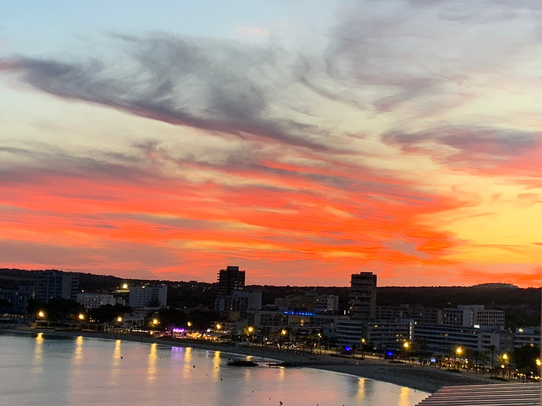 佛罗里达酒店主图