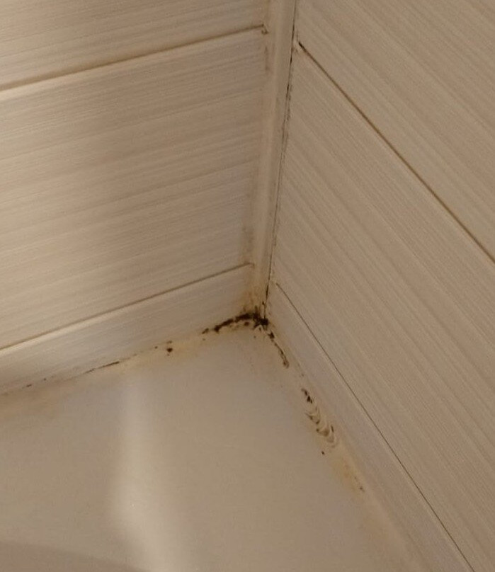 Radonezh  Guest House主图