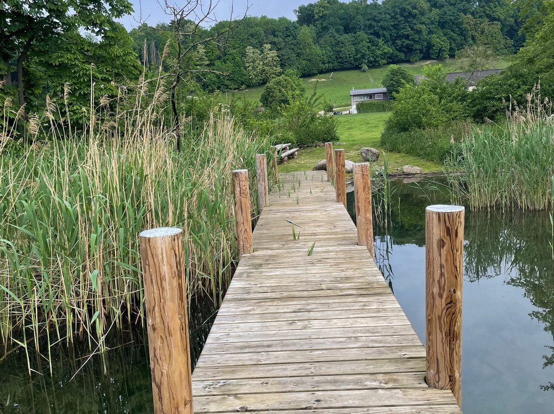 St. Petersinsel-Erlach必去景点