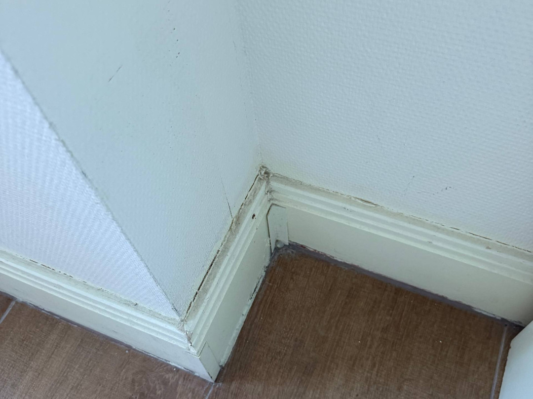 Anex Tour - Turkiye-凯梅尔必去景点