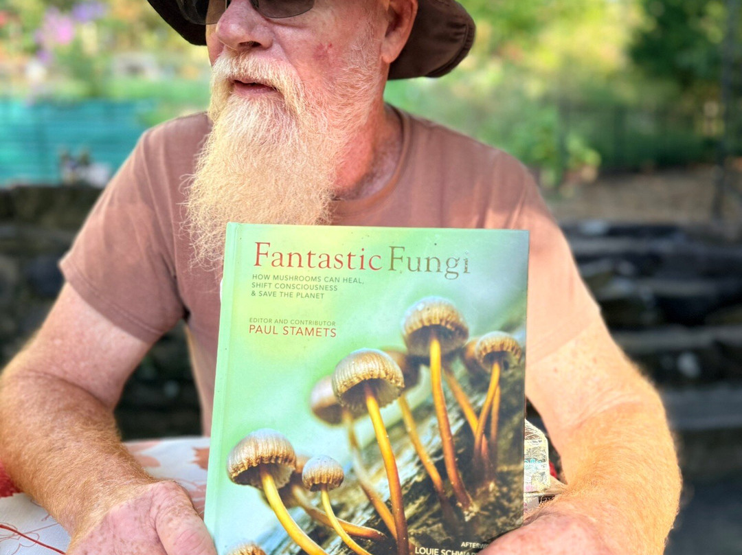 Deep Woods Mushrooms-Mills River必去景点