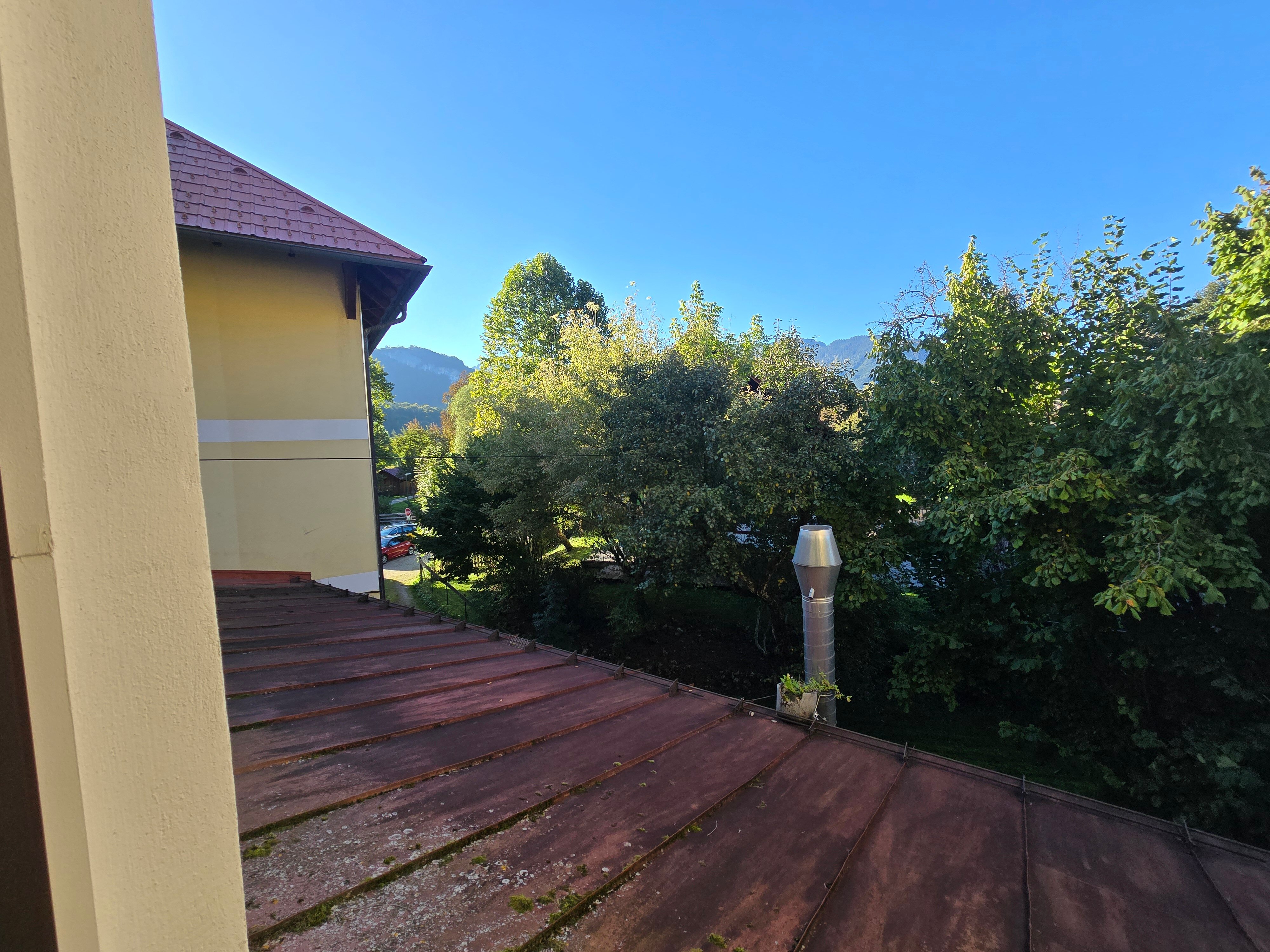 Hotel Goisererhof-酒店景观